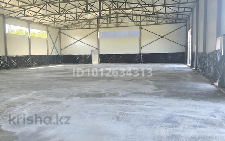 Свободное назначение, склады · 640 м² за ~ 1.3 млн ₸ в Бельбулаке (Мичурино) — фото 8