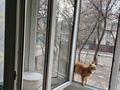2-комнатная квартира · 42 м² · 2/4 этаж, Суюнбая — Граница с Пакровкой за 30 млн ₸ в Алматы, Турксибский р-н — фото 9