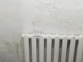 Жеке үй · 4 бөлме · 60 м² · 9 сот., Полевая 35а, бағасы: 25 млн ₸ в Есик — фото 9