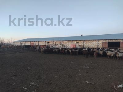 Бизнес в Западно-Казахстанской обл.: Крестьянское хозяйство · 900 м², бағасы: 90 млн 〒 Крестьянское хозяйство · 900 м², бағасы: 90 млн 〒 в Озёрное