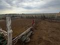 Крестьянское хозяйство · 900 м² за 85 млн ₸ в Озёрное — фото 2