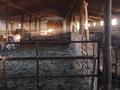 Крестьянское хозяйство · 900 м² за 85 млн ₸ в Озёрное — фото 4