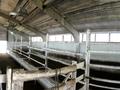 Готовый животноводческий бизнес, 2520 м², бағасы: 49 млн 〒 в Костанае — фото 12
