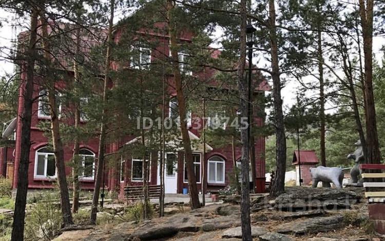 Бани, гостиницы и зоны отдыха · 1750 м² за 490 млн ₸ в Верхние Таинты — фото 2