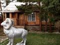 Бани, гостиницы и зоны отдыха · 1750 м² за 490 млн ₸ в Верхние Таинты — фото 18