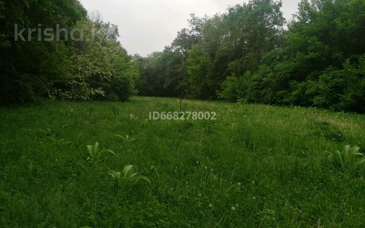 Участок · 100 соток, Южный переулок 150 за 39 млн 〒 в Каскелене — фото 3