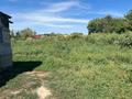 Часть дома · 3 комнаты · 80 м² · 40 сот., Названия улицы нет 26 за 6.5 млн 〒 в Восточно-Казахстанской обл. — фото 16