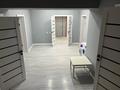 Отдельный дом · 5 комнат · 378 м² · 10 сот., 1 за 350 млн ₸ в Кумтогане (Мирном) — фото 17