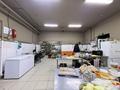 Қоғамдық тамақтану орны · 185 м², бағасы: ~ 76 млн ₸ в Астане, Сарайшык р-н — фото 19