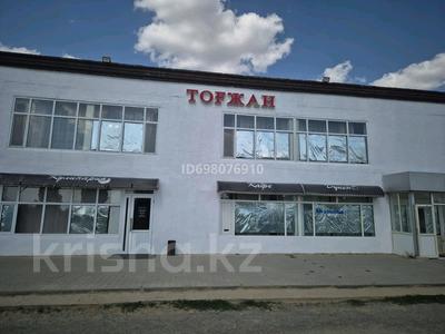 Магазины и бутики, склады, общепит · 537 м² за 55 млн ₸ в Актобе