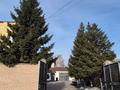 Отдельный дом · 7 комнат · 170 м² · 6 сот., Малахова за 130 млн ₸ в Павлодаре — фото 39