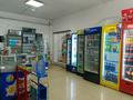 Жанайым · 341.2 м² за 59 млн ₸ в Экибастузе — фото 2