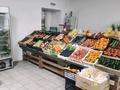 Магазины и бутики · 35 м² за 150 000 ₸ в Астане, Сарыарка р-н — фото 4