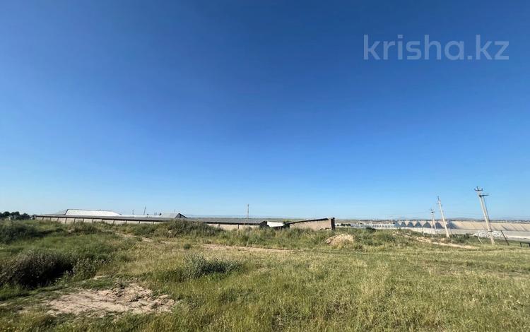 Участок · 1 га, Тассай мкр б/н за 60 млн 〒 в Шымкенте — фото 2