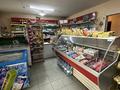 Готовый бизнес · 70 м², бағасы: 26 млн ₸ в Талгаре — фото 5