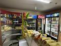 Готовый бизнес · 70 м², бағасы: 26 млн ₸ в Талгаре — фото 6