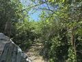 Участок · 10 соток, Толстого за 120 млн ₸ в Костанае — фото 3