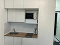 1-бөлмелі пәтер · 20 м² · 4/12 қабат, Сатпаева 90 — Туркебаева, бағасы: 200 000 ₸ в Алматы, Бостандыкский р-н — фото 5