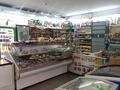 Свободное назначение, офисы, магазины и бутики, склады · 75 м² за 30 млн ₸ в Усть-Каменогорске — фото 5