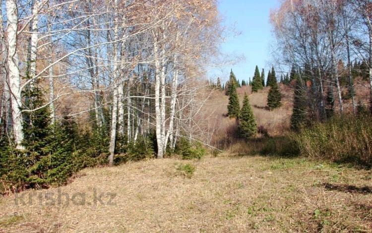 Жер телімі · 10 сотық, Нуртау, бағасы: 12 млн 〒 в Усть-Каменогорске — фото 2