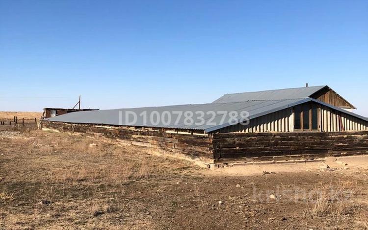 Сельское хозяйство · 500 м² за 6 млн 〒 в Сарыбулак — фото 2