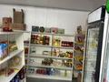 Отдельный дом · 5 комнат · 225 м² · 8 сот., Кок дала 3 за 72 млн ₸ в Иргели — фото 7