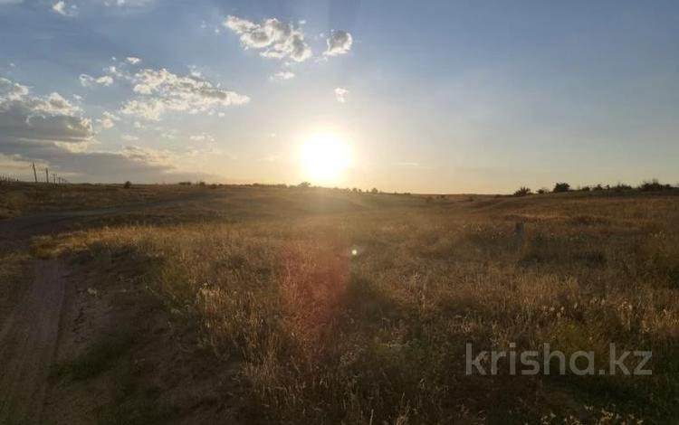 Участок · 24.736 га, Шенгельдинский с.о. за ~ 106 млн 〒 в Конаеве — фото 2