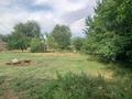 Жеке үй · 4 бөлме · 160 м² · 10 жүзд., мкр Азат 200, бағасы: 14 млн ₸ в Шымкенте, Енбекшинский р-н — фото 5