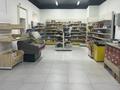 Свободное назначение, магазины и бутики · 60 м² за 25 млн ₸ в Астане, Сарайшык р-н