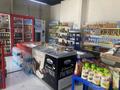 Продуктовый магазин · 128 м², бағасы: 25 млн ₸ в Астане, Нура р-н — фото 11
