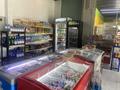 Продуктовый магазин · 128 м², бағасы: 25 млн ₸ в Астане, Нура р-н — фото 12