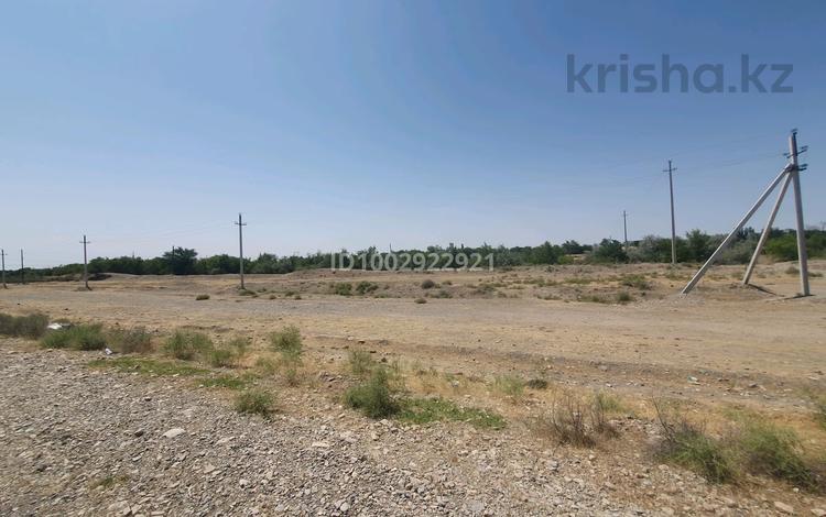 Участок · 6000 соток, Кушата 85Г за 15 млн ₸ в Кентау — фото 2