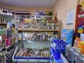 Магазины и бутики · 65 м² за 21 млн ₸ в Петропавловске — фото 2