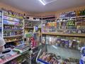Магазины и бутики · 65 м² за 21 млн ₸ в Петропавловске — фото 3