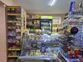 Магазины и бутики · 65 м² за 21 млн ₸ в Петропавловске — фото 4