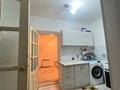 Отдельный дом · 2 комнаты · 32.8 м² · 3 сот., Свобода 74 — Кунаева и айтеке би за 20 млн ₸ в Шымкенте, Аль-Фарабийский р-н — фото 5