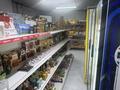 Магазины и бутики · 68 м² за 300 000 ₸ в Астане, Сарыарка р-н — фото 10