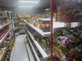 Магазины и бутики · 68 м² за 300 000 ₸ в Астане, Сарыарка р-н — фото 12
