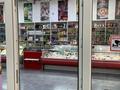 Магазины и бутики, общепит, салоны красоты, медцентры и аптеки, развлечения · 200 м² за 450 000 ₸ в Чапаево — фото 6