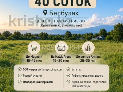 Жер телімі · 40 сотық, Белбұлақ (Мичурино), бағасы: 70 млн ₸ в Бельбулаке (Мичурино)