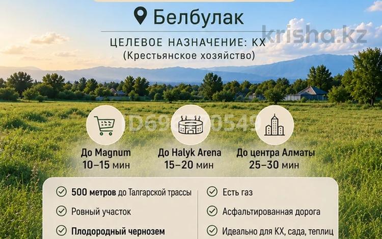 Жер телімі · 40 сотық, Белбұлақ (Мичурино), бағасы: 70 млн ₸ в Бельбулаке (Мичурино) — фото 7