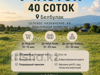 Жер телімі · 40 сотық, Белбұлақ (Мичурино), бағасы: 64 млн ₸ в Бельбулаке (Мичурино)