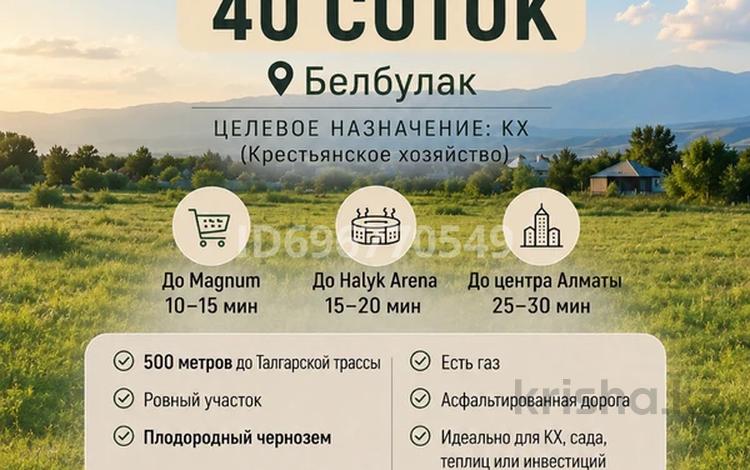 Жер телімі · 40 сотық, Белбұлақ (Мичурино), бағасы: 64 млн ₸ в Бельбулаке (Мичурино) — фото 8
