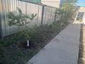 Жеке үй · 4 бөлме · 120 м² · 12 жүзд., Шабыт 239 — Гелиос жанармай бекеті артында орналасқан, бағасы: 250 000 ₸ в Актобе, жилой массив Ясное — фото 3