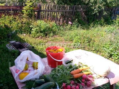 Дача · 1 комната · 20 м² · 7.6 сот., Молодёжная 109 — Сад Здоровье за 1 млн 〒 в Павлодаре