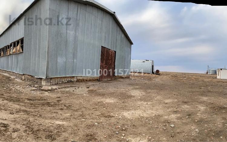 Дүкендер мен бутиктер, қоймалар, ауыл шаруашылығы · 5000 м², бағасы: ~ 189 млн ₸ в Шаульдер — фото 2