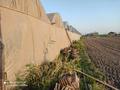 Сельское хозяйство • 1000 м² за 26 млн 〒 в Казыгурте — фото 23