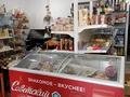 Отдельный дом · 4 комнаты · 120 м² · 12 сот., Шабыт 57 — Заправка Гелиос, улица школа-гимназии41 за 48 млн ₸ в Актобе, жилой массив Ясное — фото 5