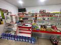 Отдельный дом · 4 комнаты · 120 м² · 12 сот., Шабыт 57 — Заправка Гелиос, улица школа-гимназии41 за 48 млн ₸ в Актобе, жилой массив Ясное — фото 37