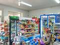 Магазины и бутики · 62 м² за 30 млн ₸ в Шымкенте, Аль-Фарабийский р-н — фото 7